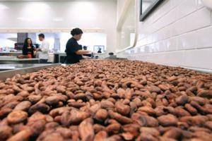 Sam Morris/Las Vegas Review-Journal/TNS