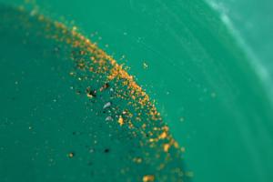 Anthony Souffle/The Minnesota Star Tribune/TNS