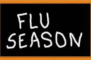Flu season. Dreamstime/TCA