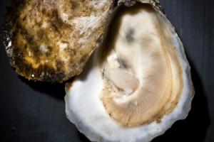 Bill Hogan/Chicago Tribune/TNS