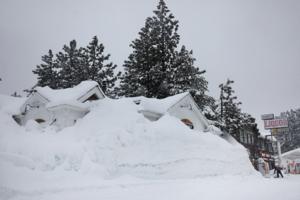 Mario Tama/Getty Images North America/TNS