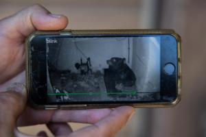 Juliana Yamada/Los Angeles Times/TNS