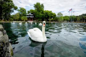 Ricardo Ramirez Buxeda/Orlando Sentinel/TNS