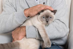 Dreamstime/Dreamstime/TNS