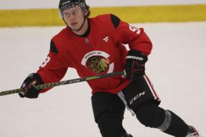 Brian Cassella/Chicago Tribune/TNS