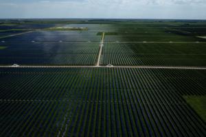 E.Jason Wambsgans/Chicago Tribune/TNS