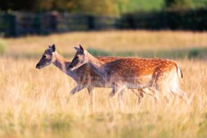 Jose Manuel Gelpi Diaz/Dreamstime/TNS