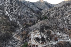 Mario Tama/Getty Images North America/TNS