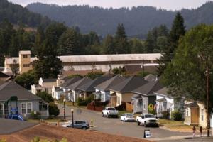 Genaro Molina/Los Angeles Times/TNS