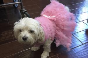 MARIA SANTOS/JERRY ZEZIMA/TNS