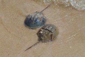 Dreamstime/Dreamstime/TNS