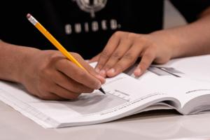 Dominic Di Palermo/Chicago Tribune/TNS