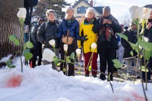 Alex Kormann/Star Tribune/TNS