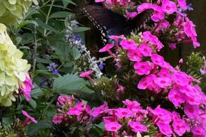 Norman Winter/Norman Winter/TNS