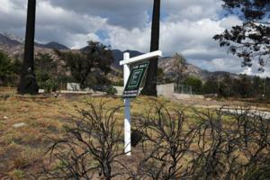 Mario Tama/Getty Images North America/TNS