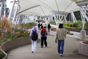 Ken Lambert/The Seattle Times/TNS