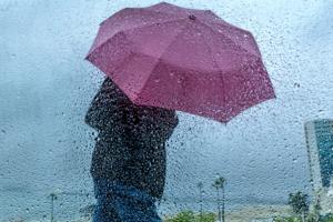 Allen J. Schaben/Los Angeles Times/TNS