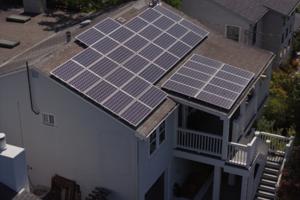 Justin Sullivan/Getty Images North America/TNS