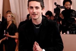 Bang Showbiz / Timothee Chalamet at the Golden Globe Awards.