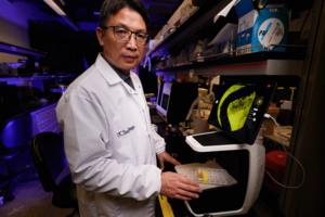 Nelvin C. Cepeda/The San Diego Union-Tribune/TNS