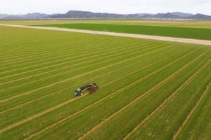 Kayla Bartkowski/Los Angeles Times/TNS