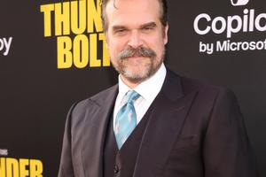 Bang Showbiz / David Harbour has opened up about his mental health