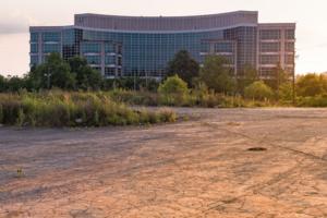 Dean Neitman/Dreamstime/TNS