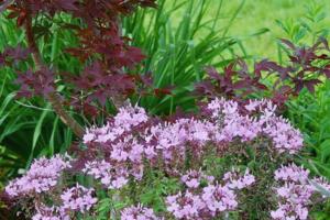 Norman Winter/Norman Winter/TNS