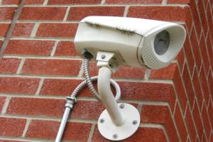 Elena Elisseeva/Dreamstime/TNS