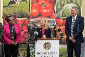 Mennatalla Ibrahim/Baltimore Sun/TNS