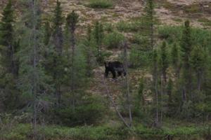 Jeff Wheeler/Star Tribune/TNS