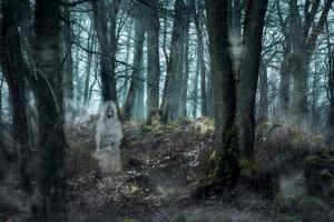 Ghosts in forest. Dreamstime/TCA