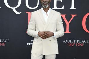 Bang Showbiz / Djimon Hounsou has claimed he was punched by his former partner