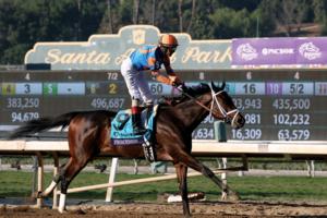Harry How/Getty Images North America/TNS