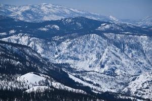 Patrick T. Fallon/AFP/Getty Images North America/TNS