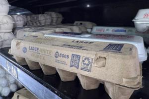 Kevin Hardy/The Detroit News/TNS