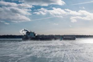 Andy Morrison/The Detroit News/TNS