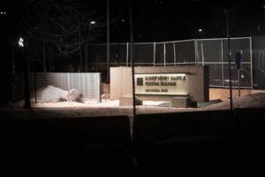 Renée Jones Schneider/Star Tribune/TNS