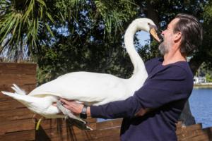 Joe Burbank/Orlando Sentinel/TNS