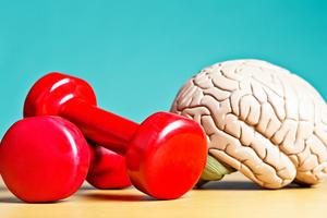 Research shows that the brain can be exercised, much like our muscles. RapidEye/E+ via Getty Images