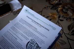 Elizabeth Flores/The Minnesota Star Tribune/TNS