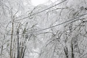 Brett Carlsen/Getty Images North America/TNS