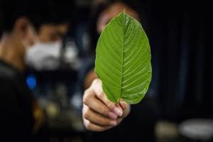 Lauren DeCicca/GETTY IMAGES NORTH AMERICA/TNS