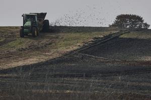 A spreader sprays sewage sludge, which is rich in phosphorus, across a farm in Oklahoma. AP Photo/Joshua A. Bickel