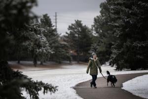 Timothy Hurst/The Denver Post/TNS