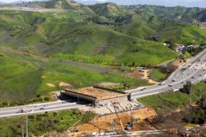 Myung J. Chun/Los Angeles Times/TNS