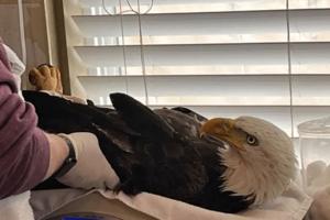 Colorado Parks and Wildlife/Colorado Parks and Wildlife/TNS