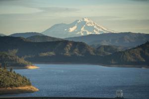 Kent Nishimura/Los Angeles Times/TNS