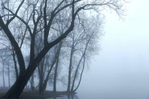 Dreamstime/Dreamstime/TNS