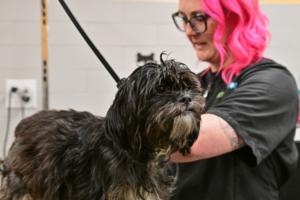 John Autey/Pioneer Press/TNS